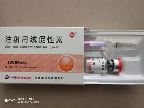 快遞粉末激素產(chǎn)品到英國 加拿大 美國 華晨天錦國際貨代網(wǎng)盟